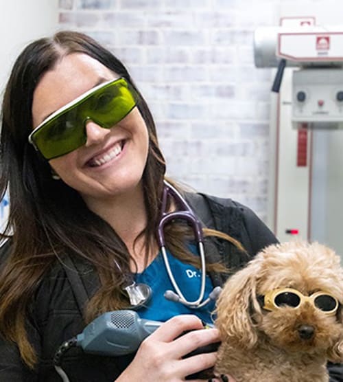 Dr. Sarah Schraeder, Hattiesburg Veterinarian