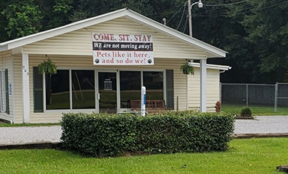 to The Pet Hospitals Veterinarians in Hattiesburg